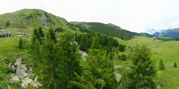 Bear Sanctuary