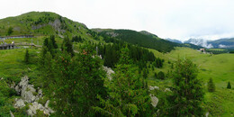 Bear Sanctuary