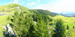 Bear Sanctuary