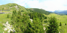 Bärenland