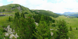 Bear Sanctuary