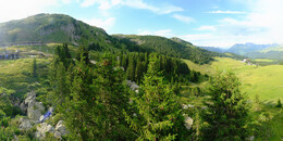 Bear Sanctuary