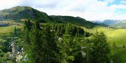 Bear Sanctuary