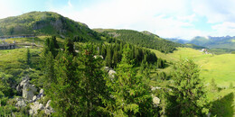 Bärenland