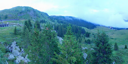 Bear Sanctuary