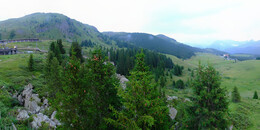 Bear Sanctuary