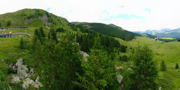 Bear Sanctuary