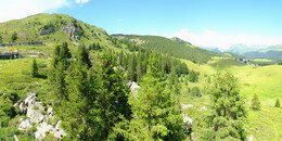 Bärenland
