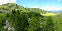 Bear Sanctuary