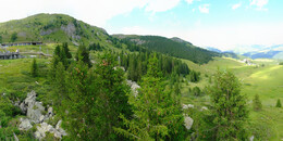 Bear Sanctuary