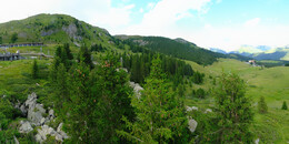 Bear Sanctuary