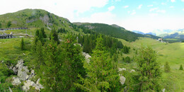 Bear Sanctuary