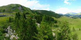Bear Sanctuary
