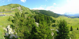 Bear Sanctuary
