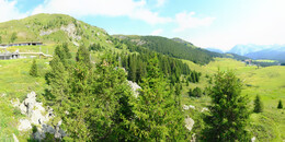Bear Sanctuary