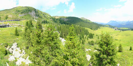 Bear Sanctuary
