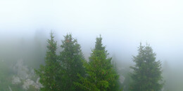 Bärenland