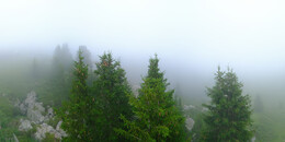 Bärenland