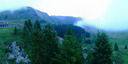 Bear Sanctuary
