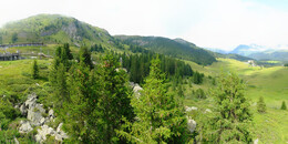 Bear Sanctuary