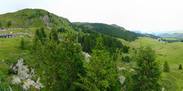 Bear Sanctuary