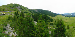Bear Sanctuary
