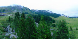 Bärenland