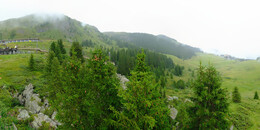 Bärenland