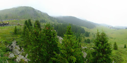 Bear Sanctuary