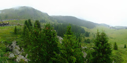 Bear Sanctuary