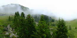 Bärenland
