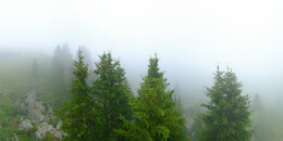 Bärenland