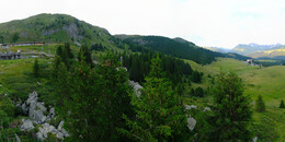 Bear Sanctuary