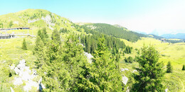 Bear Sanctuary