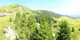Bear Sanctuary