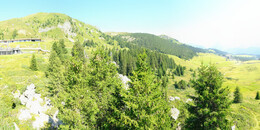 Bärenland