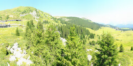Bärenland