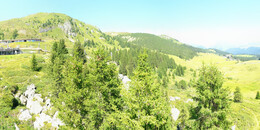 Bear Sanctuary