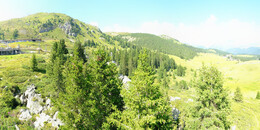 Bear Sanctuary