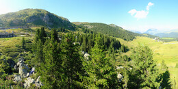 Bärenland