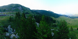 Bear Sanctuary