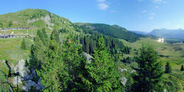 Bear Sanctuary