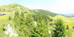 Bärenland