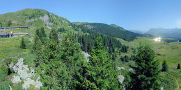 Bear Sanctuary