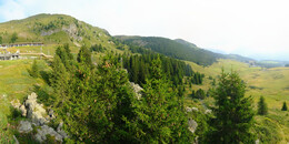 Bear Sanctuary
