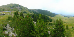 Bear Sanctuary