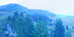 Bärenland