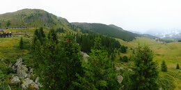 Bear Sanctuary