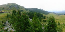 Bear Sanctuary