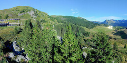 Bear Sanctuary